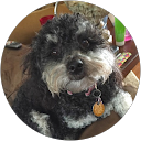 Sheri W. profile picture